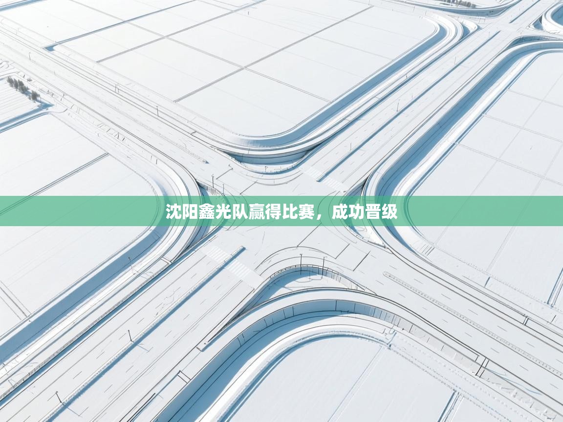 沈阳鑫光队赢得比赛，成功晋级  第2张