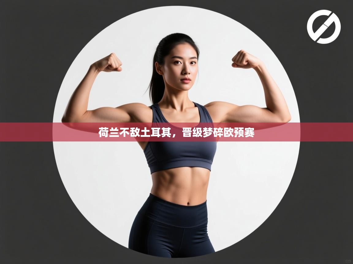 荷兰不敌土耳其，晋级梦碎欧预赛  第2张