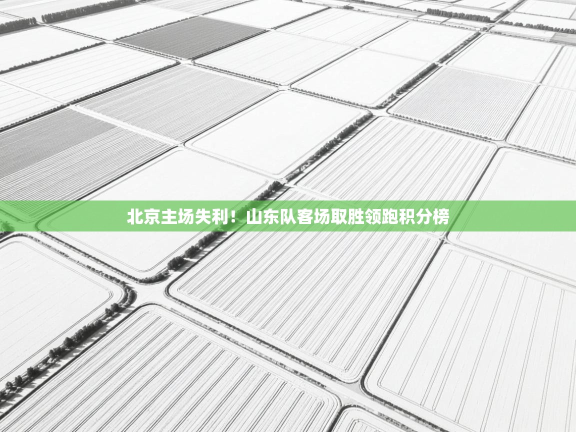 北京主场失利！山东队客场取胜领跑积分榜  第2张