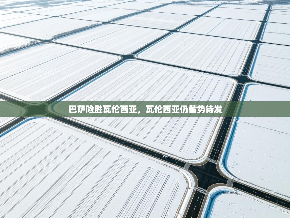 巴萨险胜瓦伦西亚，瓦伦西亚仍蓄势待发  第2张