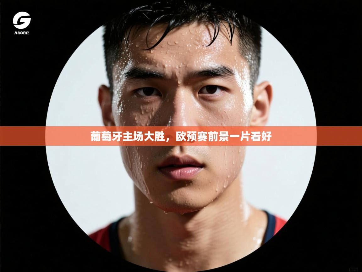 葡萄牙主场大胜，欧预赛前景一片看好  第2张