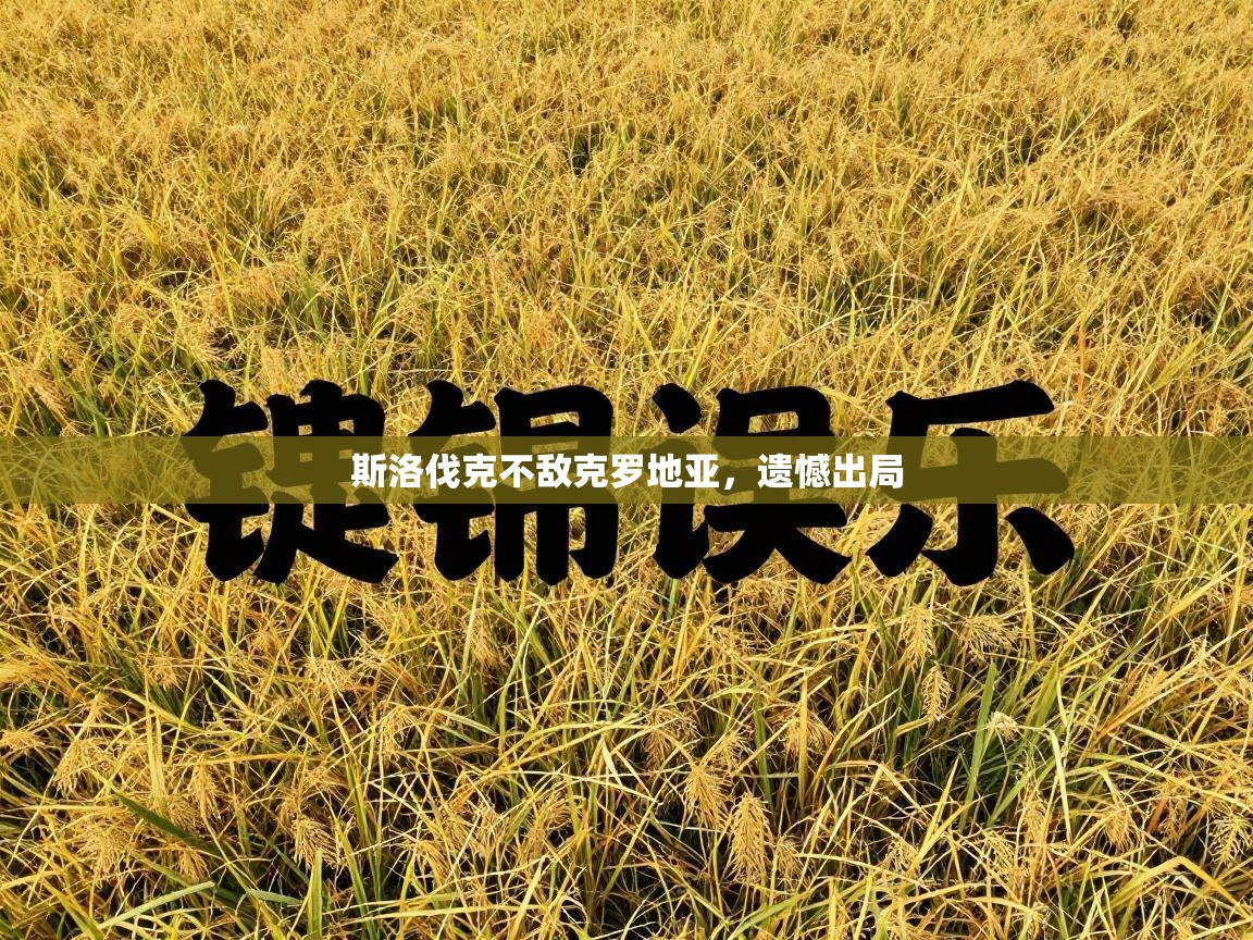 斯洛伐克不敌克罗地亚,遗憾出局 第1张